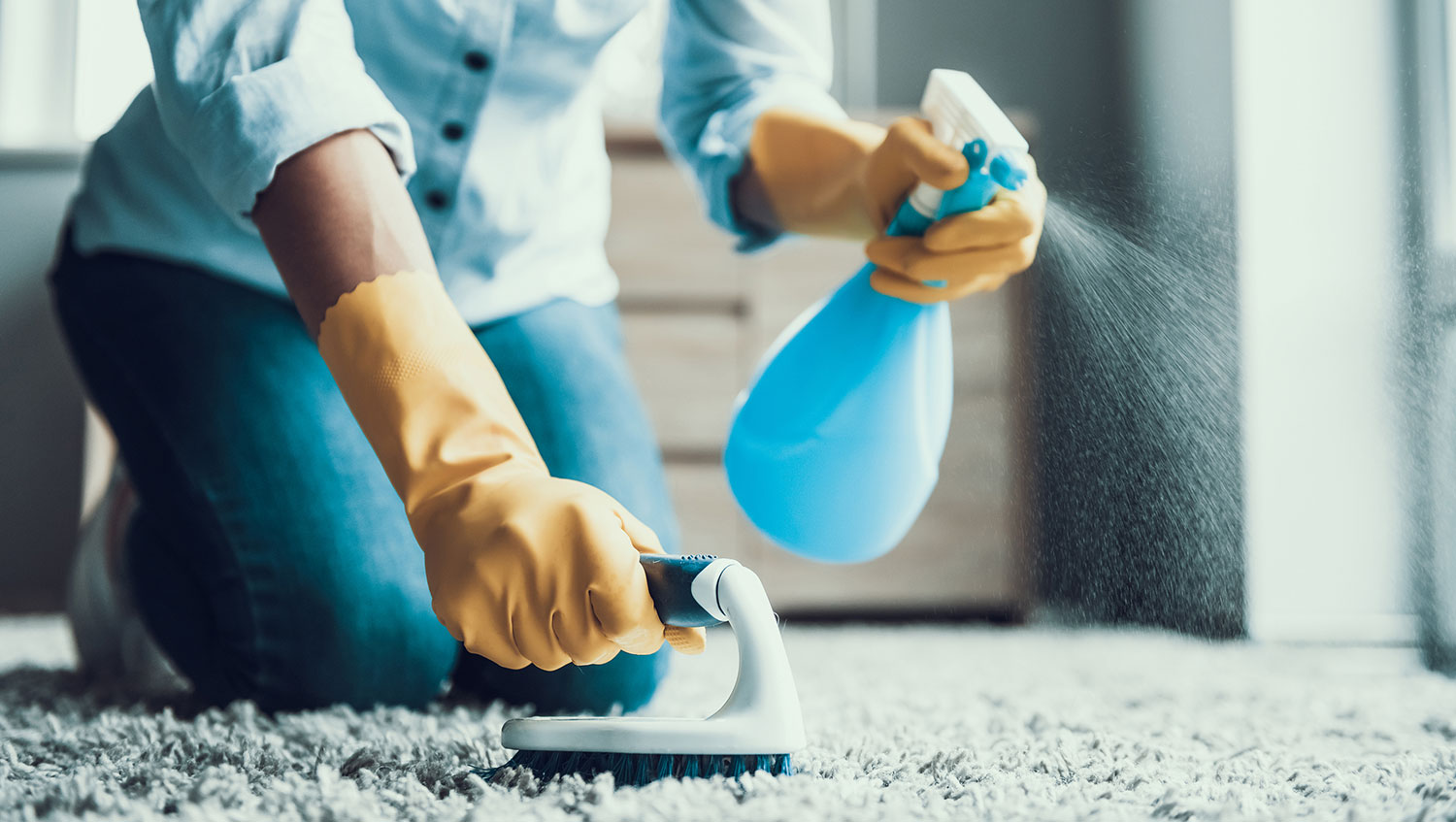 Cleaning Professional